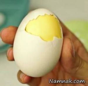 زرده و سفیده تخم مرغ