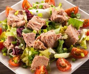 غذا بدون مرغ ، رژیم غذایی متعادل