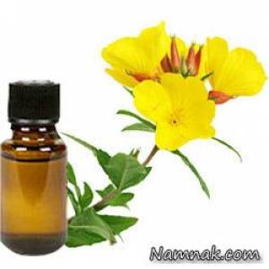 خواص گل پامچال ، evening primrose benefits