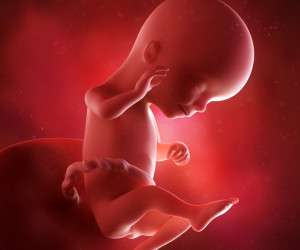 هفته 13 بارداری ، ترشحات واژن در هفته سیزده بارداری
