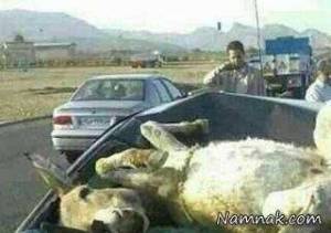 تصادف ماشین ، تصادف ماشین