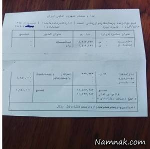 چالش فیش حقوقی ، چالش فیش حقوقی