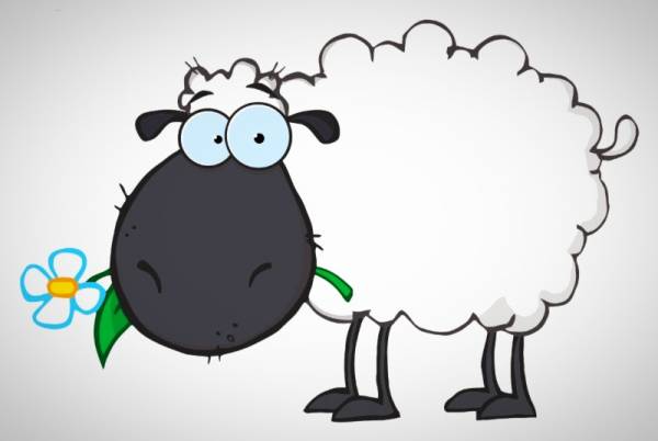 پیش بینی برای متولدین سال گوسفند