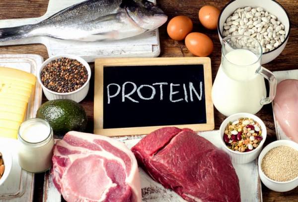 غذاهای غنی از پروتئین