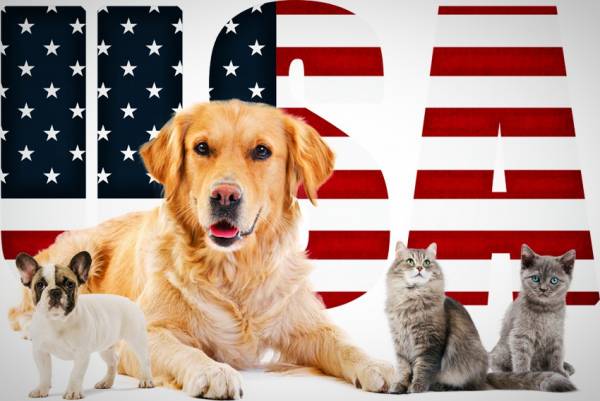 حیوانات خانگی در آمریکا