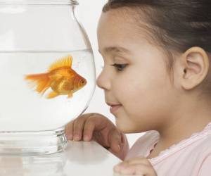 خطراتی که ماهی قرمز برای بچه ها دارد! 
