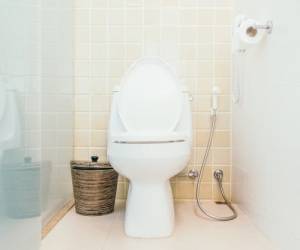 توالت فرنگی بهتر است یا توالت ایرانی ؟ چرا؟ 1