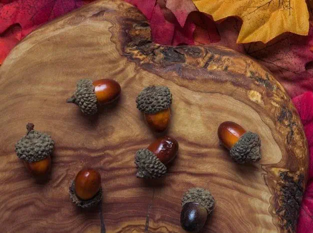 سمبل شانس اکرون سمبل شانس