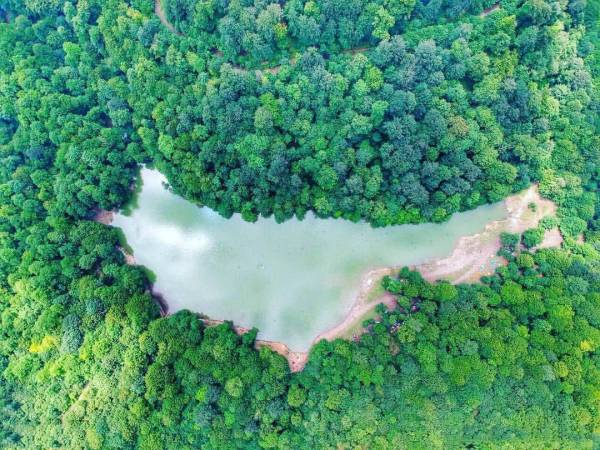 عکس هوایی از دریاچه چورت