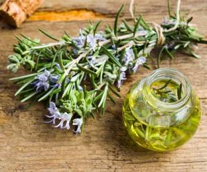 روغن اکلیل کوهی