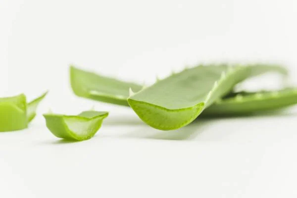آلوئه ورا برای خشکی لب آلوئه ورا