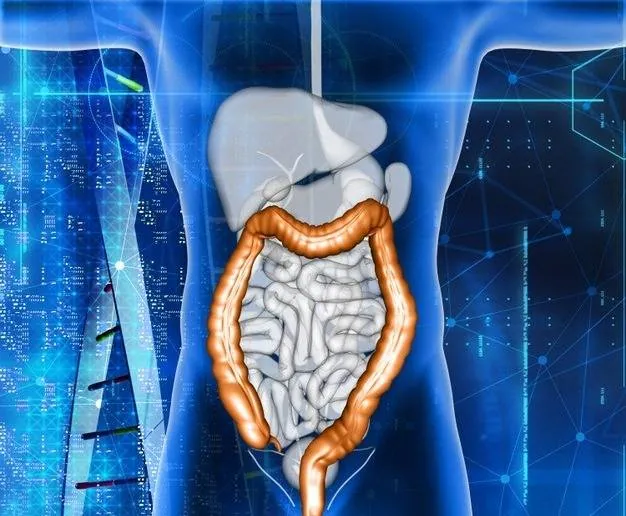 سلامت روده برای جوان ماندن سلامت روده
