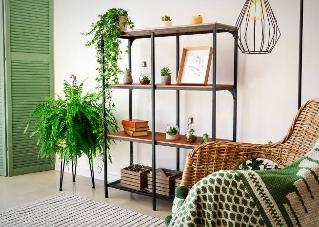 قفسه برای گیاهان آپارتمانی