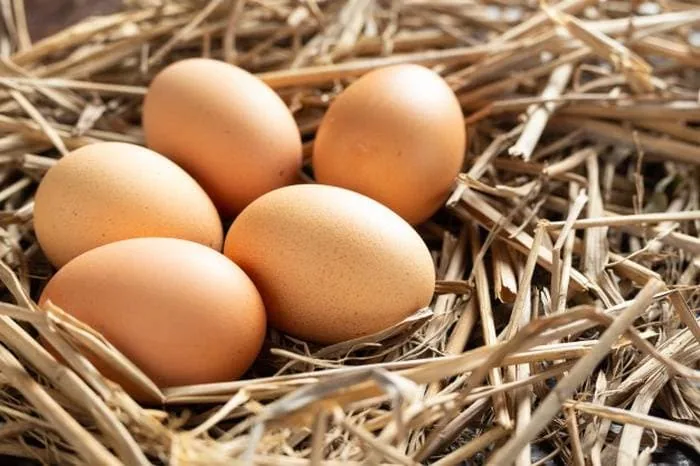 مواد غذایی مفید برای رشد مژه تخم مرغ