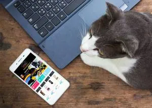 پت استور ، نزدیکترین پت شاپ به منزل شما