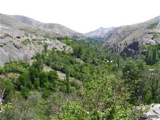 دیدنی های مشهد