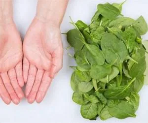 رژیم لاغری سریع