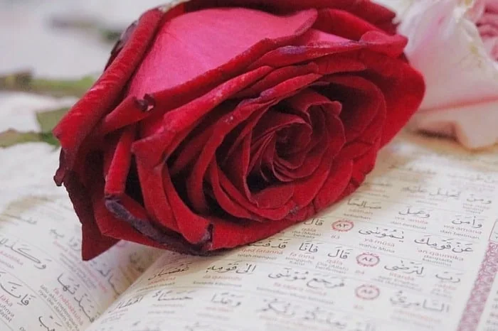 سوره برای رفع گرفتاری