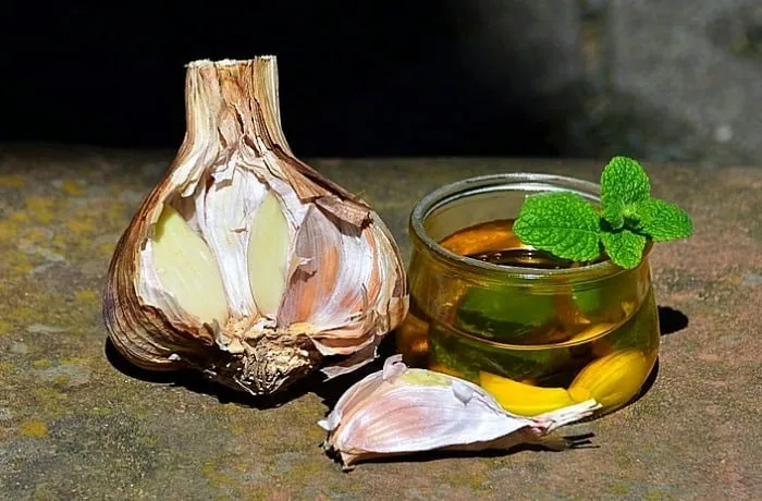 روغن سیر