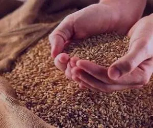 فطریه