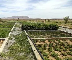 بارش کمتر