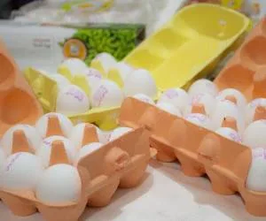 قیمت تخم مرغ