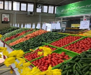 میادین میوه و تره