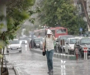 هواشناسی