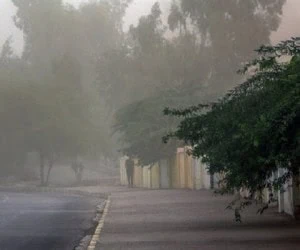 هواشناسی
