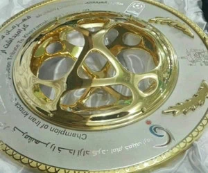 جام حذفی