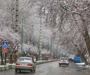هواشناسی