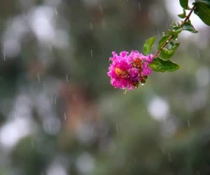 وضعیت جوی