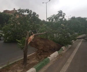 طوفان در کرج
