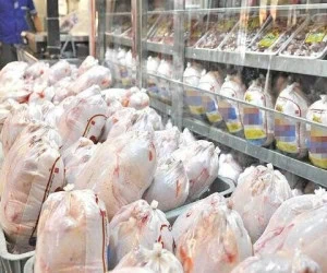 قیمت جدید مرغ
