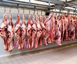 گوشت قرمز