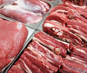 قیمت گوشت