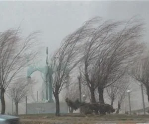 هواشناسی