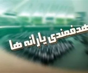 هدفمندی یارانه ها