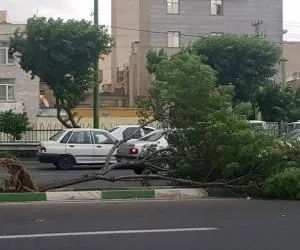 وزش باد شدید