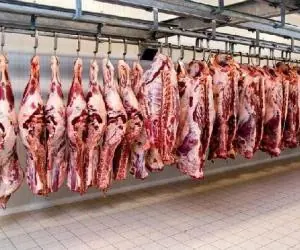 قیمت گوشت