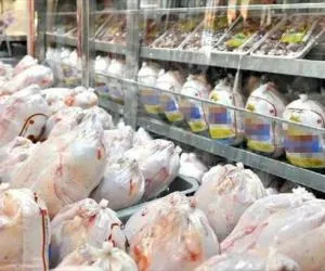 قیمت مرغ
