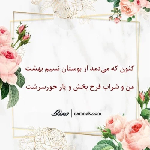 فال حافظ نمناک