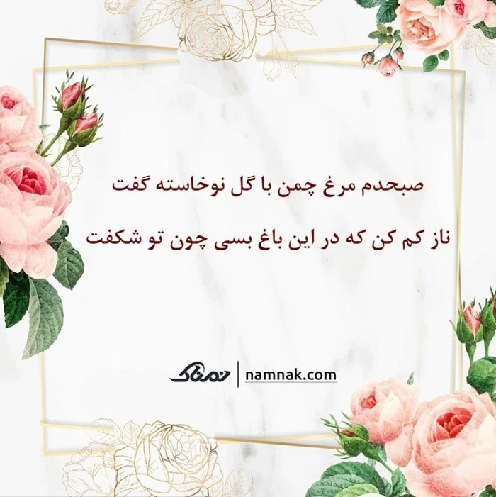 فال حافظ نمناک