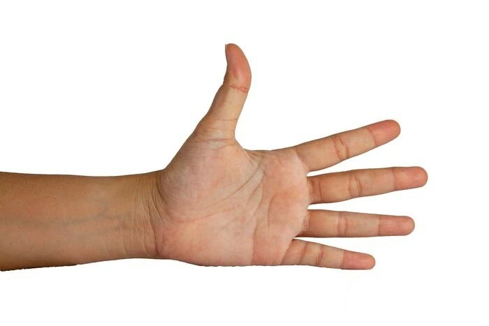 انگشت شست دست
