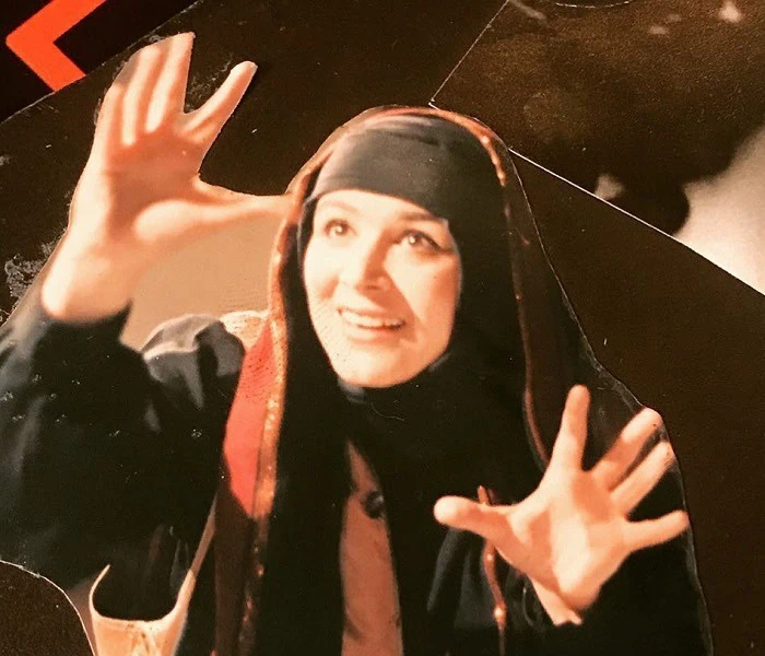 شهره سلطانی و تئاتر
