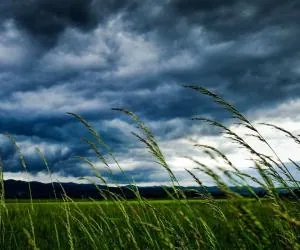 هواشناسی