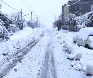 هواشناسی