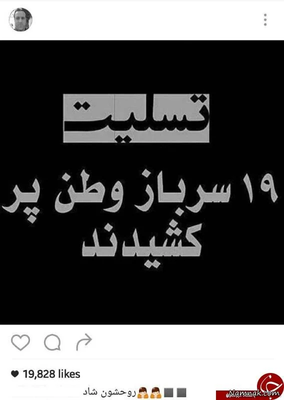 سربازان وطن