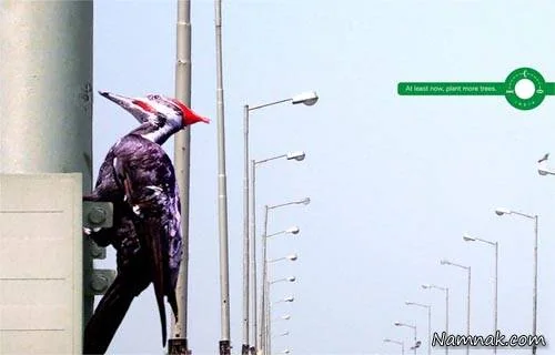 تبلیغات