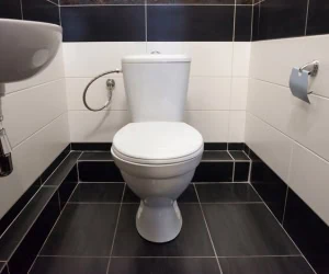 مثانه بیش فعال